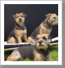 Rocky, Gloria vorn Cathy Rocky, Gloria vorn Cathy